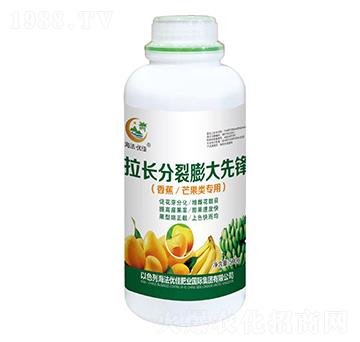 �㽶â��������L(zh��ng)����������h-������(y��u)��