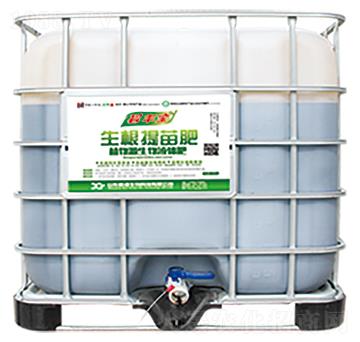 ���������-�¸�����