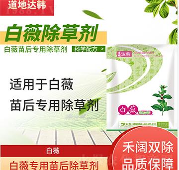 ��ޱ���݄�-��ޱ���-