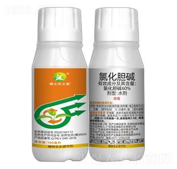 10%�Ȼ�đ�A-��֮��֮��-�S�՘�