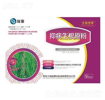 �ֲ�����ԭ��-����