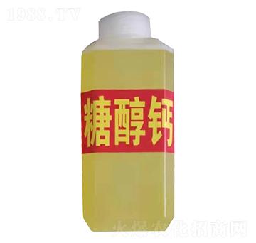 �Ǵ��}-��ɽ����