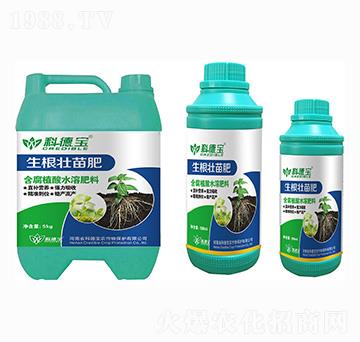 ���������-�Ƶ�