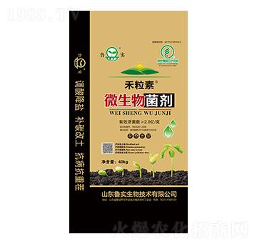 ΢������� ������ ����(sh��)