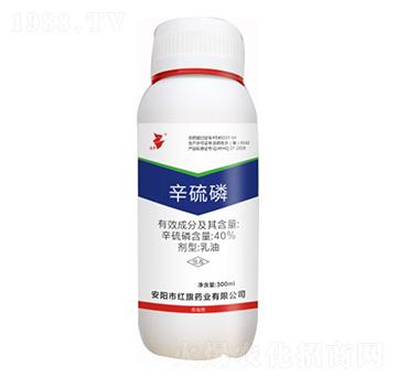 40%������-���A-�t