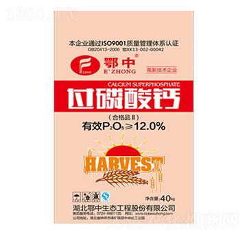 40kg�^�����}-����