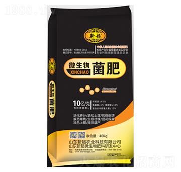 10�|΢�������-�³�