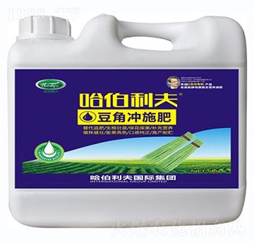 ���ǌ��Û_ʩ��-��������