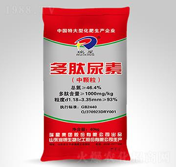 ��������-����