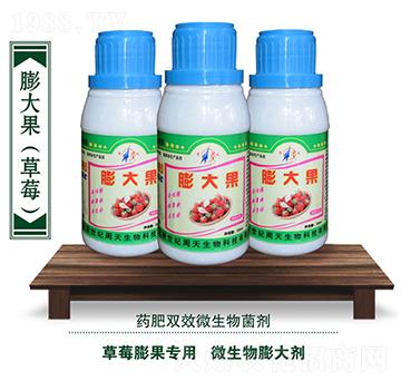 ��ݮ����΢�������-����-��������