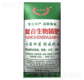 �ͺ��������-����