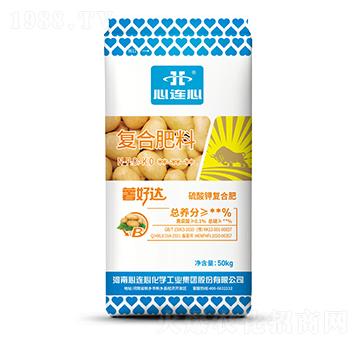 �����_����Ï�(f��)�Ϸ���-���B��