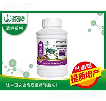 ΢�������-�~��Դ5̖