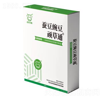 �Q���㶹�B��ͨ-���A��