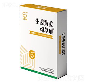 �����S���B��ͨ-���A��