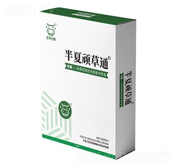 �����B��ͨ-���A����