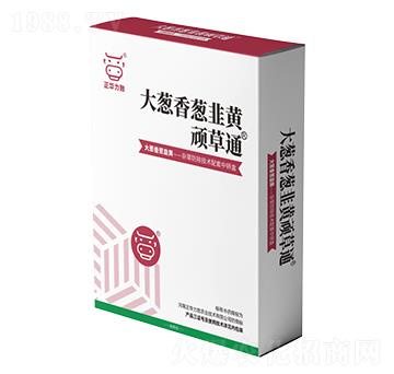 ���[�����[�����S�B��ͨ