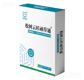 �ɘ���ɼ�B��ͨ-���A��