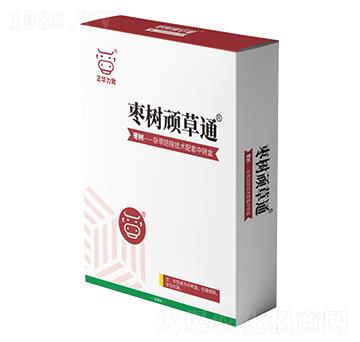 �����B��ͨ-���A����