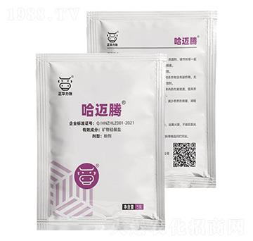 �V������}-���~�v-��