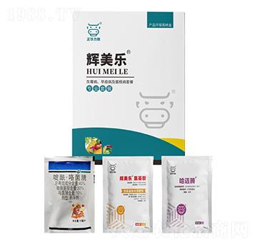 ��ù�������߲������˲�