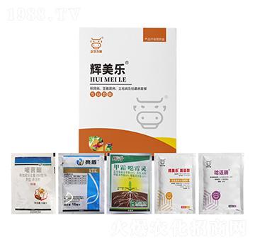 ���������o������������