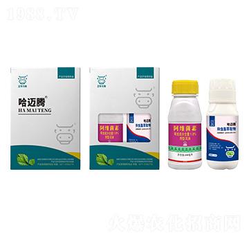 ���~�v���x�ײ�-���A��