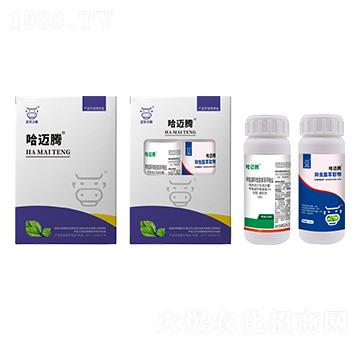 �E�R�����M���ײ�-���~