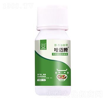 ���x֬��ȡ��-���~�v��ԭ-�������ף�-���A����