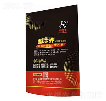 �VԴ�S�����-�����-�l(f��)ؔ(c��i)��