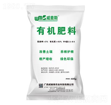 �ЙC(j��)����-����˹