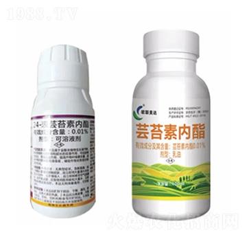 �|̦�؃�(n��i)֬-�W(li��n)���_(d��)