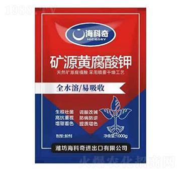 �VԴ�S�����-������