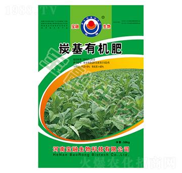 BM̿���ЙC��-������