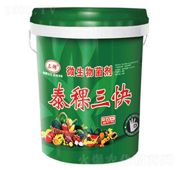 ΢�������-̩������-����-��������