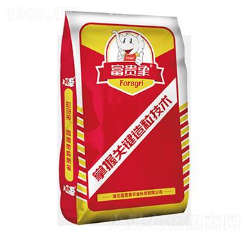 �A�w�������-���F���r�I(y��)