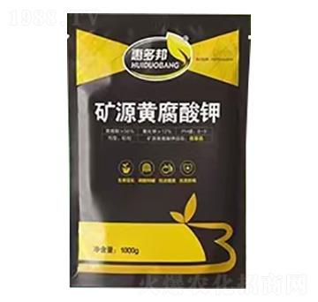 �VԴ�S�����-�ݶ��