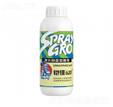 �z��620-��ţ�r�I(y��)