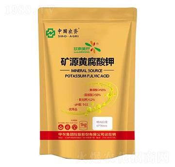 �VԴ�S�����-�Ї��r(n��ng)�Y-���r(n��ng)