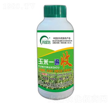 ����һ����-��ʢ�_(d��)