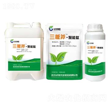 ���師������-���A�r(sh��)��