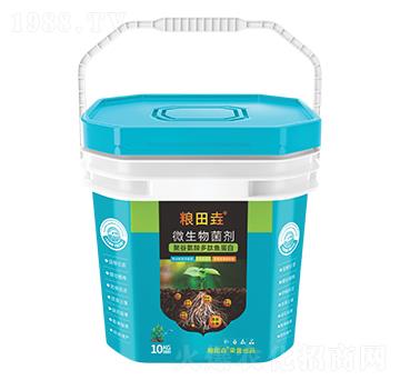 �۹Ȱ�������~����-�Z