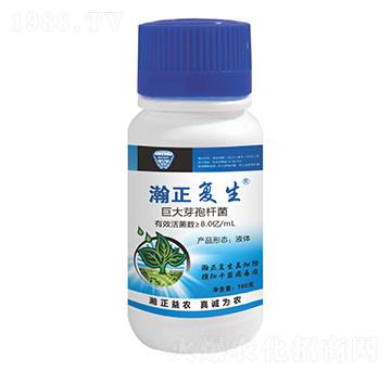 8.0�|/mL�޴�ѿ��