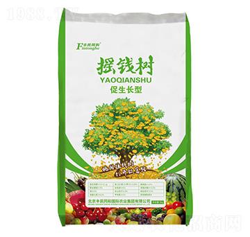 �u�X������L��-�͝��r�I(y��)