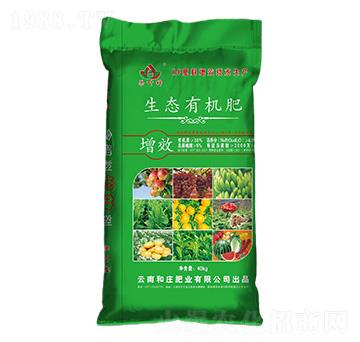 ���B(t��i)�ЙC��-���~��-���f�ʘI(y��)