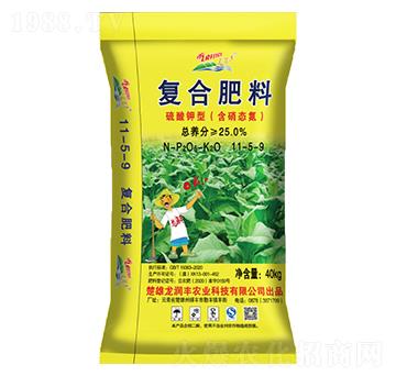 ������͏�(f��)�Ϸ�11-5-9-����(r��n)�S