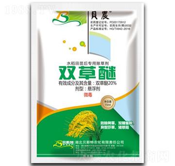 20%�p���ёҸ���-ؐ˹���r(n��ng)��