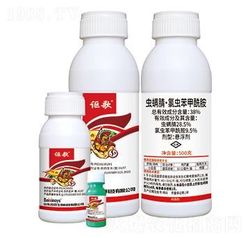 38%�x(ch��ng)���桤���x(ch��ng)��������-֎��-��������