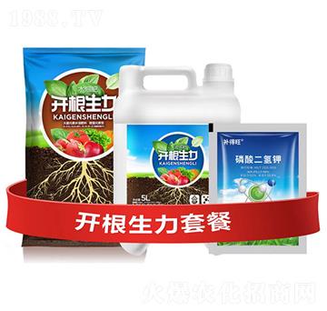 �_�������ײ�D-�ƴ�Ƽ�