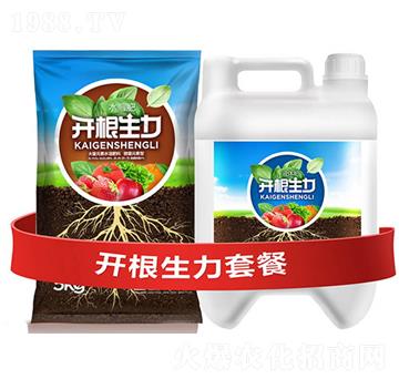 �_�������ײ�C-�ƴ�Ƽ�